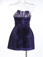Strapless Velvet Mini Dress with Feather Sleeves H6323