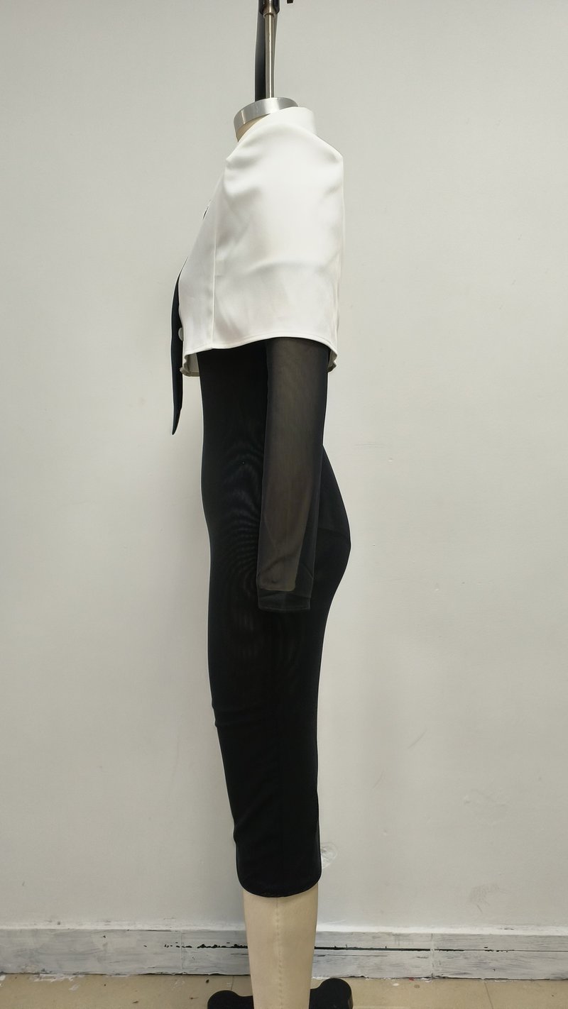 White Collar Tie Sheer Sleeve Dress H6862